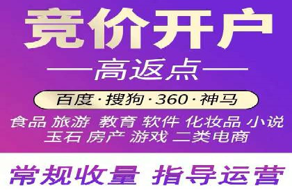 某某sem推广公司在某行业的应用与效果分析
